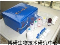 人基质金属蛋白酶4,MMP-4,ELISA检测试剂盒_供应产品_博研生物技术研究中心