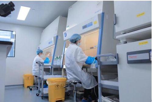 精于测 成于微 纽创生物携手维萨拉提供高标准病毒清除工艺验证服务